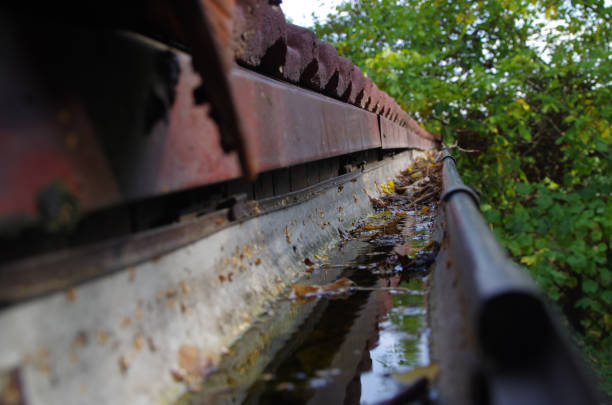 Gutter cleaning experts removing wet leaves so water can flow freely without causing damage to the roof or siding.